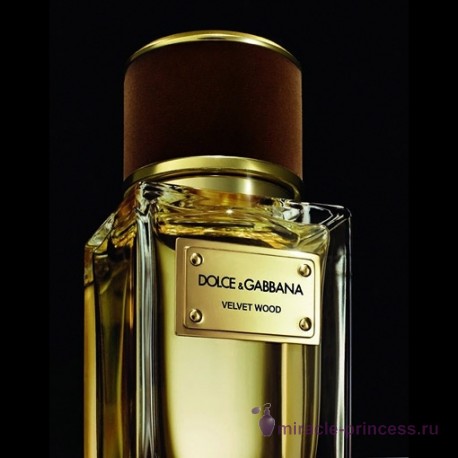 Dolce & Gabbana Velvet Wood 22