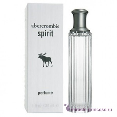 Abercrombie & Fitch Spirit Perfume 22