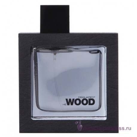 Dsquared2 He Wood Silver Wind Wood 11