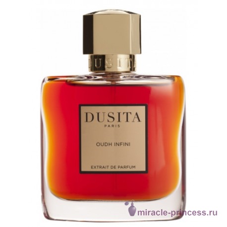 Dusita Oudh Infini 11