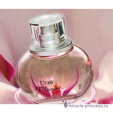 S.T. Dupont L'Eau de S.T. Dupont Pour Femme 22