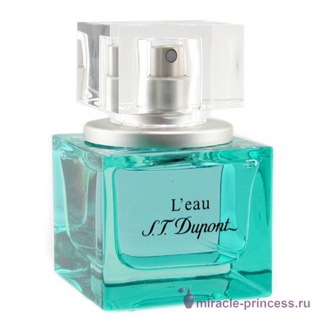 S.T. Dupont L'Eau de S.T. Dupont Pour Homme 11