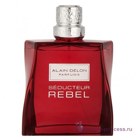 Alain Delon Seducteur Rebel 11