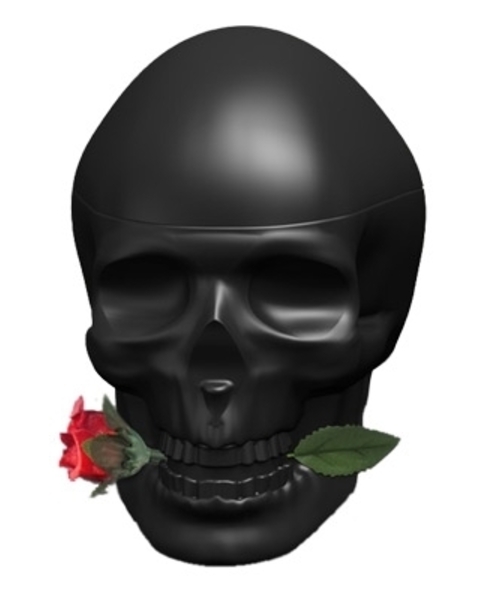 Ed Hardy Skulls & Roses for Him