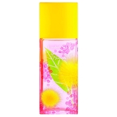 Elizabeth Arden Green Tea Mimosa