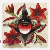 Alexander McQueen Blazing Lily