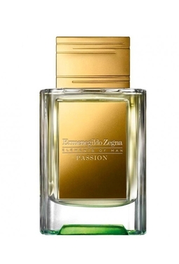 Ermenegildo Zegna Elements of Man Passion