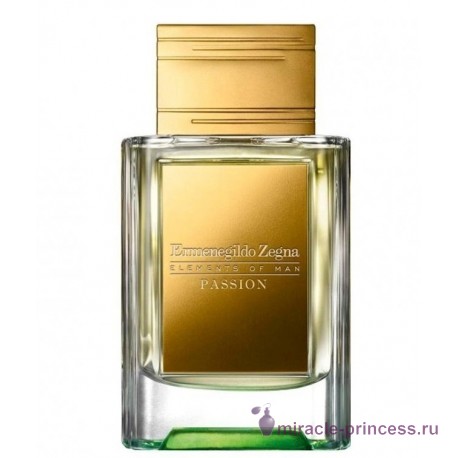 Ermenegildo Zegna Elements of Man Passion 11