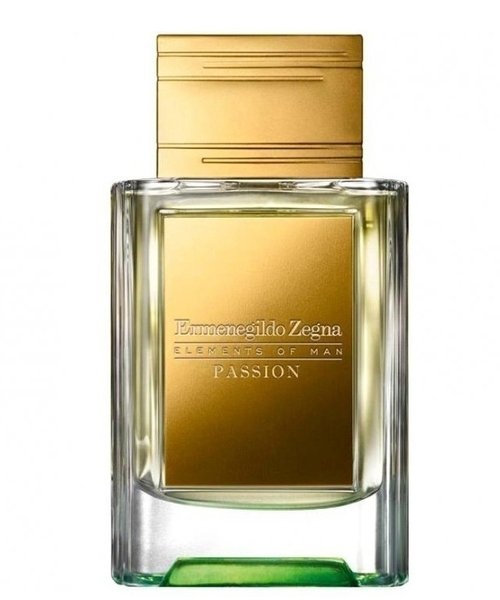 Ermenegildo Zegna Elements of Man Passion