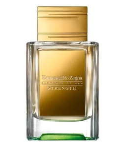 Ermenegildo Zegna Elements of Man Strength