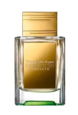 Ermenegildo Zegna Elements of Man Strength