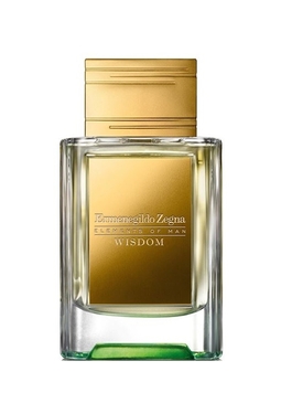 Ermenegildo Zegna Elements of Man Wisdom
