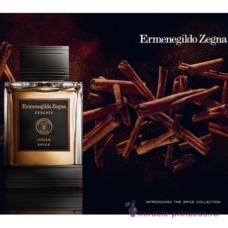 Ermenegildo Zegna Indian Spice 22