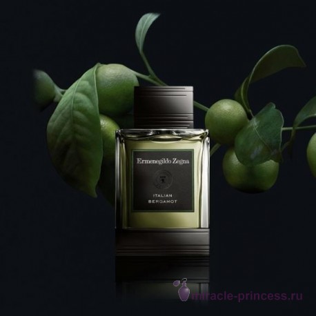 Ermenegildo Zegna Italian Bergamot 22