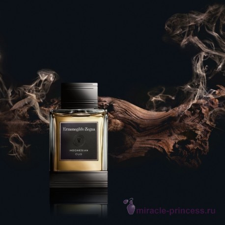 Ermenegildo Zegna Indonesian Oud 22