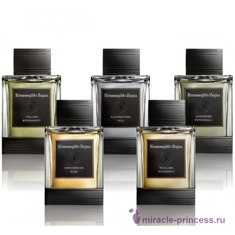 Ermenegildo Zegna Javanese Patchouli 22