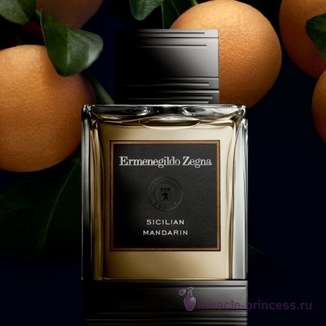 Ermenegildo Zegna Sicilian Mandarin 22