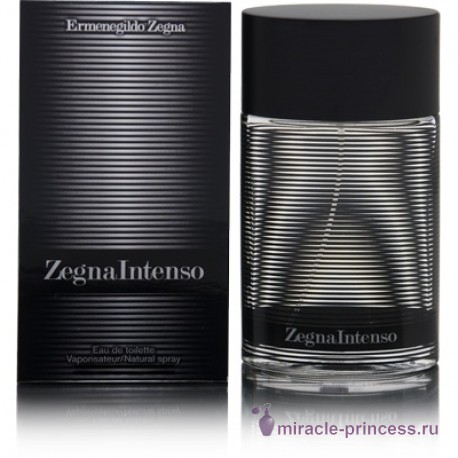 Ermenegildo Zegna Zegna Intenso 22