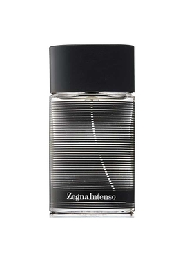 Ermenegildo Zegna Zegna Intenso