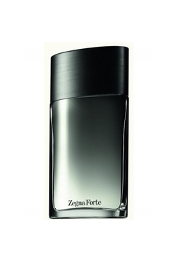 Ermenegildo Zegna Zegne Forte