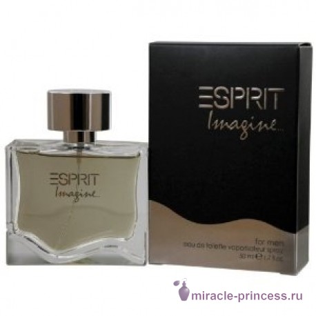 Esprit Imagine for Him 22