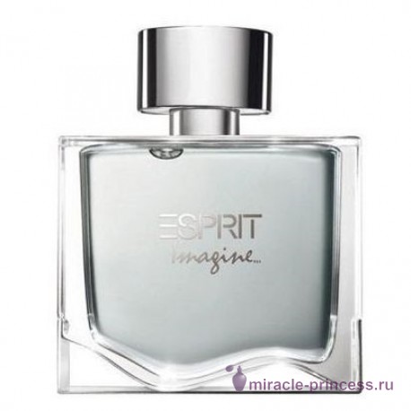 Esprit Imagine for Him 11