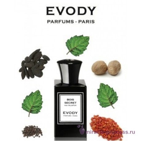 Evody Parfums Bois Secret 22