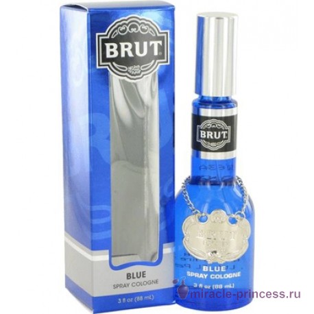 Faberge Brut Actif Blue 22