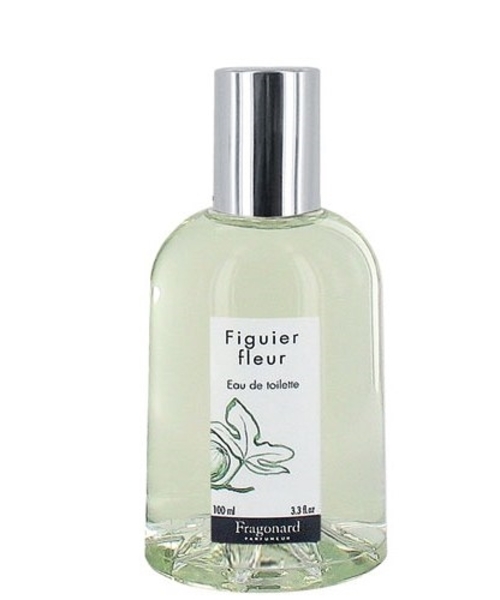 Fragonard Figuier Fleur