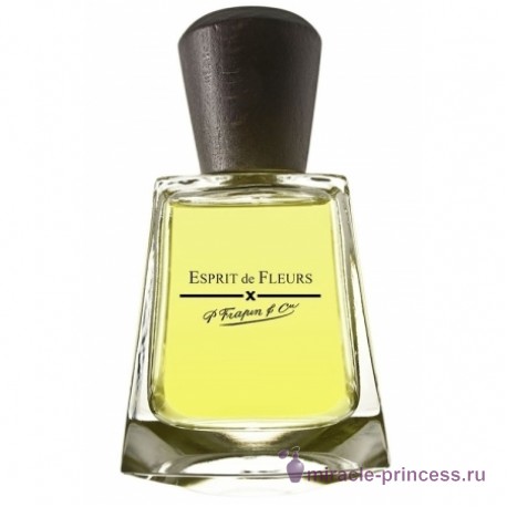 Frapin Esprit de Fleurs 11