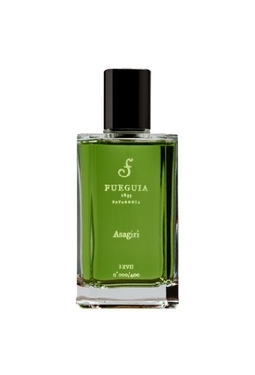 Fueguia 1833 Asagiri