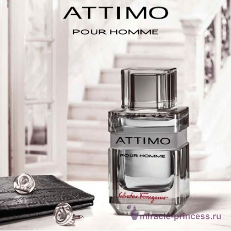 Salvatore Ferragamo Attimo Pour Homme 22