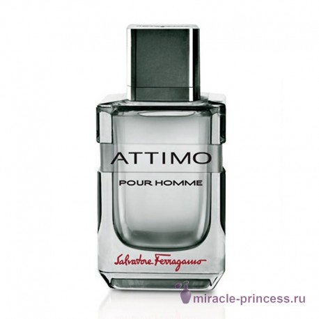 Salvatore Ferragamo Attimo Pour Homme 11