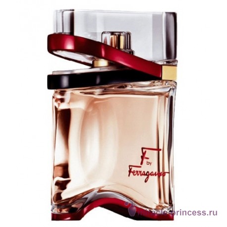 Salvatore Ferragamo F by Ferragamo 11