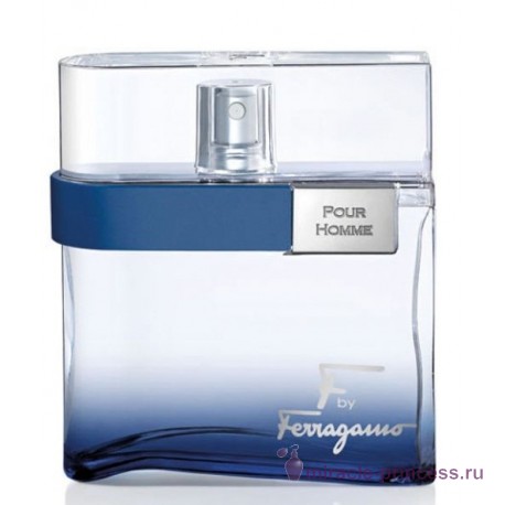 Salvatore Ferragamo F by Ferragamo Free Time 11