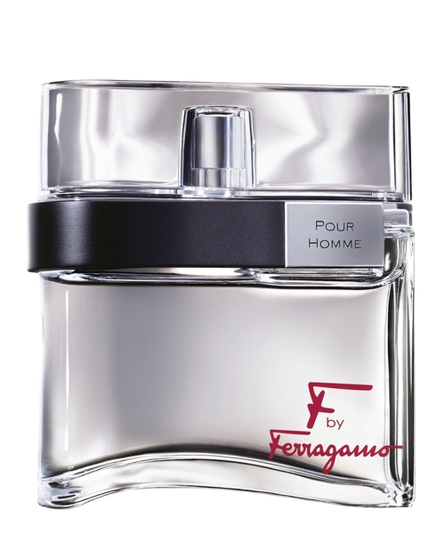 Salvatore Ferragamo F by Ferragamo pour homme