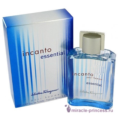 Salvatore Ferragamo Incanto Essential 22