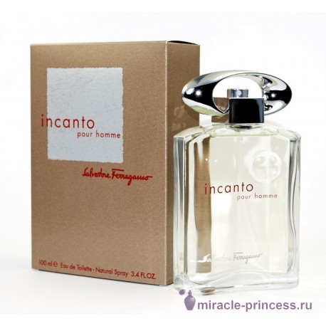 Salvatore Ferragamo Incanto Pour Homme 22