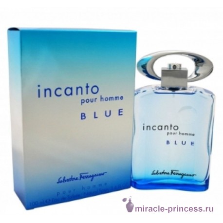 Salvatore Ferragamo Incanto Pour Homme Blue 22