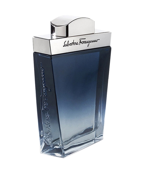 Salvatore Ferragamo Subtil Pour Homme