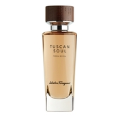 Salvatore Ferragamo Tuscan Soul Terra Rossa