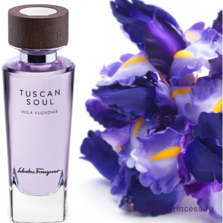 Salvatore Ferragamo Tuscan Soul Viola Essenziale 22