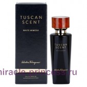 Salvatore Ferragamo Tuscan Soul White Mimosa