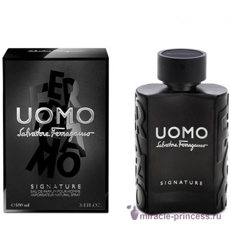 Salvatore Ferragamo Uomo Signature 22