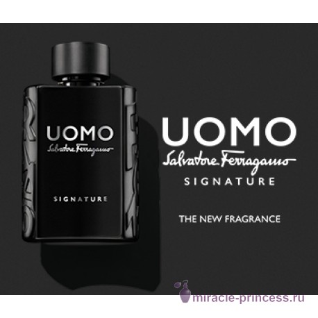 Salvatore Ferragamo Uomo Signature 22