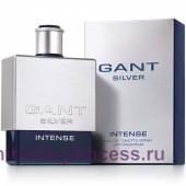 Gant Silver