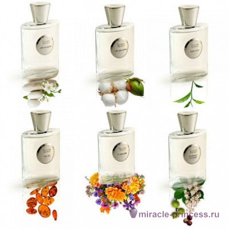 Giardino Benessere White Musk 22