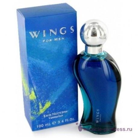 Giorgio Beverly Hills Wings for Men 22