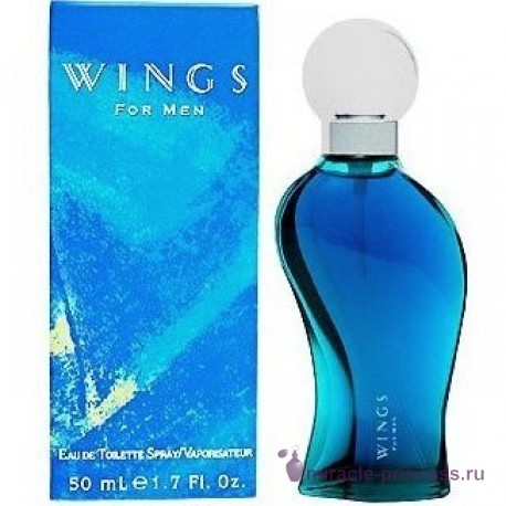 Giorgio Beverly Hills Wings for Men 22