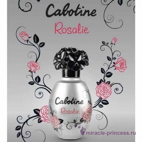 Gres Cabotine Rosalie 22